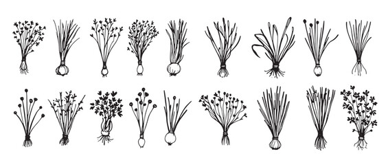 Set of different types of flowers and plants 