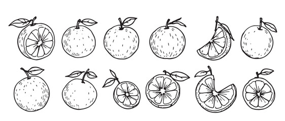 set of hand drawn fruit icons