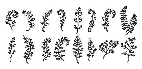 Set of hand drawn leaves and flowers 