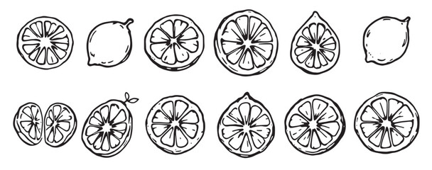 a set of lemon slices and slices drawn in black and white