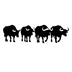 Four silhouetted water buffalo walking in a line.