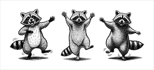 Three anthropomorphic raccoons are depicted in a playful, energetic dance, each with a unique pose and expressive face.