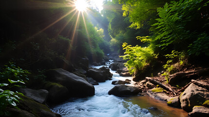 Lush Canyon Stream: Sunlight Piercing Dense Woods, Gurgling Water, Pure Nature Serenity