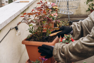 Individual tending to potted plant on balcony, wearing gloves and using gardening tools, surrounded by vibrant flowers and greenery, showcasing urban gardening and nature connection