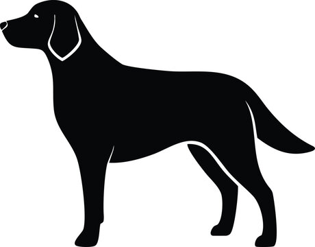Flat-coated Retriever dog silhouette with feathered tail and sleek stance vector graphic for smart breed