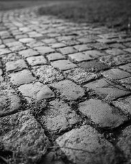 Close-up view of old cobblestone pavement in the park  with grass, leaves and small branches...