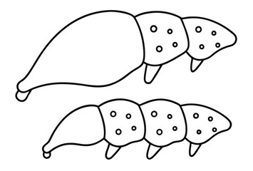 liver disease represented by clean line art