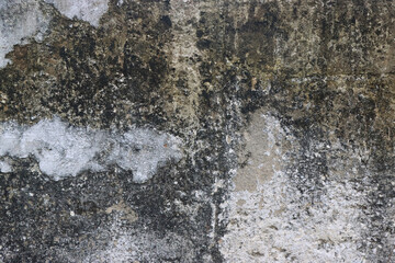 Weathered concrete wall with mold and discoloration.