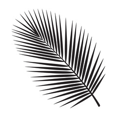 Fototapeta premium Silhouetted Majesty A Single Palm Frond's Bold Statement Against the Light Evoking Tropical Serenity and Botanical Simplicity in Design