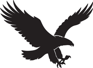 Obraz premium eagle in the sky