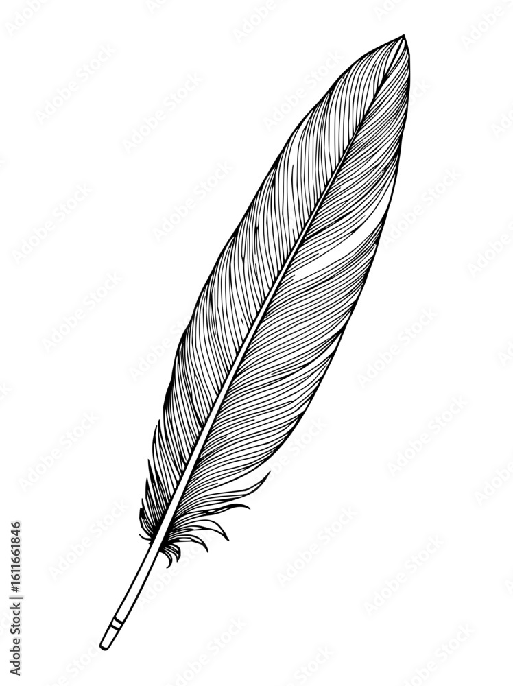 Poster minimilist detailed black and white drawing of a feather with intricate lines and a slender quill de