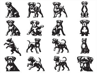 Fototapeta premium Boxer Dog Clipart Set – Vintage Black and White Dog Poses and Expressions Collection