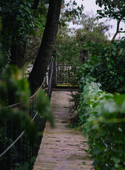 Fototapeta premium Hanging wooden bridge in Bulacan Greenery Philippines.