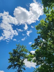 sky and clouds