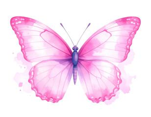 Obraz premium Watercolor Pink Butterfly with Blended Pastel Wings, Artistic Style, White Background