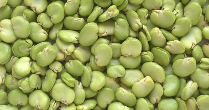 Fresh, peeled fava beans (Vicia faba) as a background texture. Flat lay, table spin. 