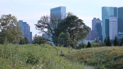 Fototapeta premium New York City Midtown Manhattan Skyline with Green Landscape Foreground