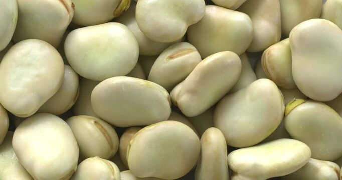 Close-up view of fresh, shelled fava beans (Vicia faba) with a second skin. Background texture with rotation around the lower left corner.