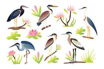 Watercolor Birds in Wetland: A vibrant watercolor illustration featuring diverse avian species gracefully navigating a tranquil wetland ecosystem.