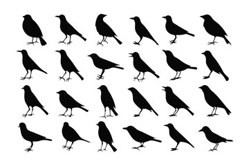 Silhouetted Bird Collection: A striking minimalist arrangement presents a flock of elegant bird silhouettes, offering a versatile artistic motif for design needs.