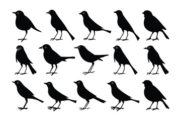 Bird Silhouettes: A set of elegant black bird silhouettes, perfect for design projects, symbolizing freedom, movement, and the beauty of nature. 