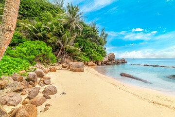 Small tropical cove with palm trees and rocks