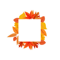 Autumn Leaves Square Frame  Modern Vector Template for Branding