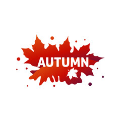 Fall Season Maple Leaf Badge  Vector Graphic for Marketing