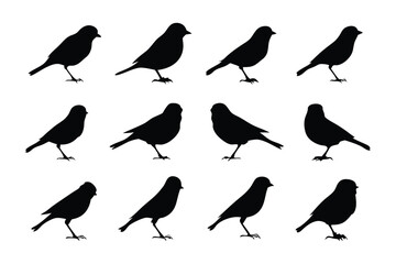 Silhouette Songbirds: A minimalist, artistic representation of a collection of songbirds, showcasing their elegant silhouettes against a soft backdrop, perfect for artistic purposes.