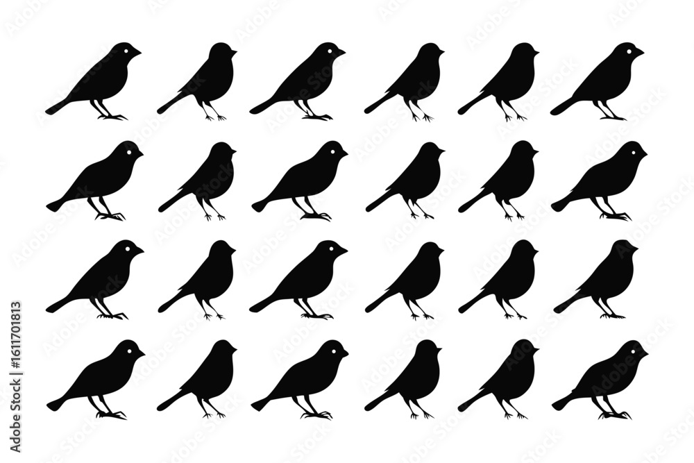 Poster silhouette songbirds: a striking display of minimalist art features rows of elegant songbird silhoue