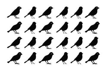 Silhouette Songbirds: A striking display of minimalist art features rows of elegant songbird silhouettes against a simple backdrop.