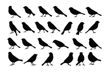 Birds Silhouette Illustration: A collection of various birds' silhouettes elegantly displayed against a pristine backdrop, perfect for graphic design and nature-themed projects.