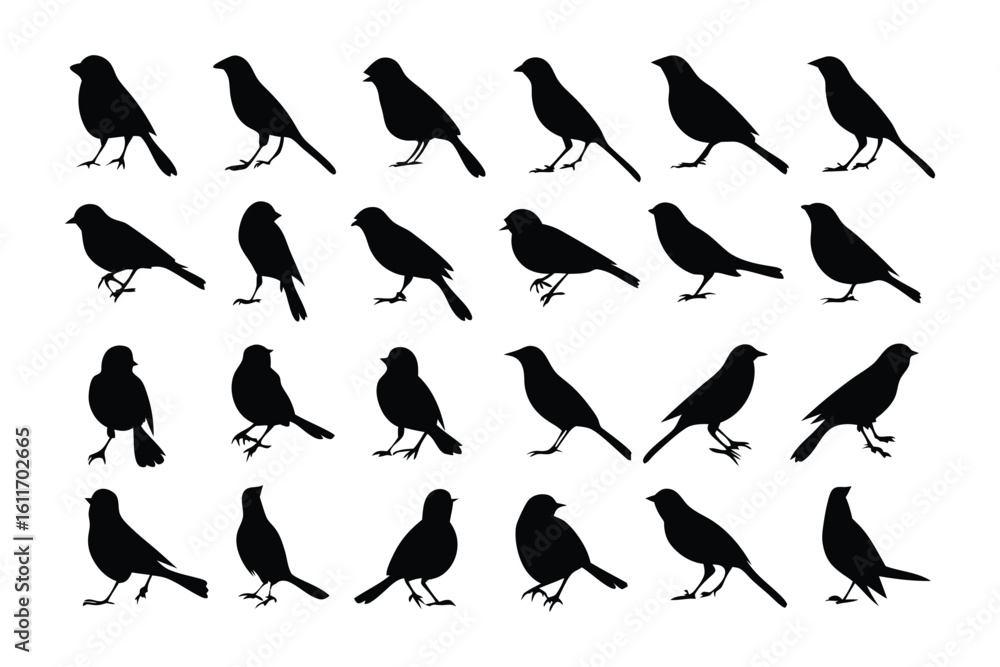 Poster silhouette birds in rows: a grid arrangement of black bird silhouettes. the birds appear in differen