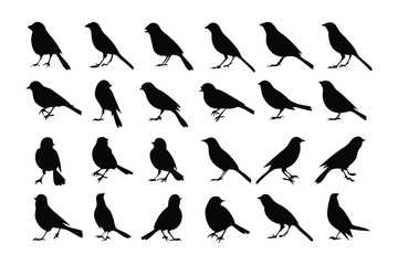 Silhouette Birds in Rows: A grid arrangement of black bird silhouettes. The birds appear in different positions, creating a visually engaging pattern against a stark contrast.