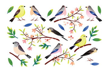 Feathered Serenity: A delicate watercolor painting displays vibrant birds of various species, gracefully perched on blossoming branches, surrounded by fresh green leaves.