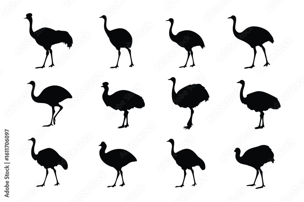 Poster emu silhouette display: a captivating array of emu silhouettes elegantly displayed against a backdro