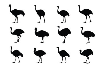 Obraz premium Emu Silhouette Display: A captivating array of emu silhouettes elegantly displayed against a backdrop, each a minimalist representation of the bird.