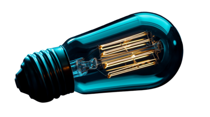 Vintage light bulb on a transparent background