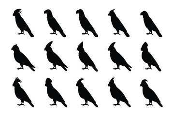 Silhouette Parrots: A captivating collection of parrot silhouettes, a simple, powerful monochromatic design, evoking the essence of nature's vibrant birds. 