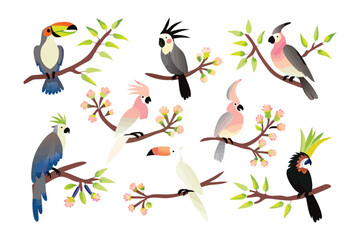 Exotic Bird Collection: A vibrant array of colorful birds perched on flowering branches, celebrating the diversity of avian beauty in this intricate illustration. 