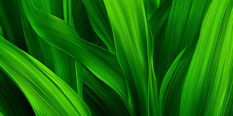 green leaves background
