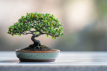 A miniature bonsai tree, carefully cultivated, displays the art of bonsai in a serene setting.