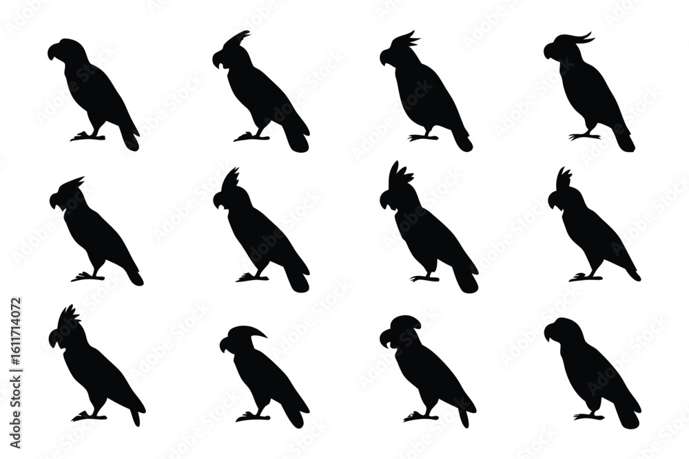 Poster bird silhouettes pattern: a captivating pattern featuring diverse silhouettes of birds, inviting vie