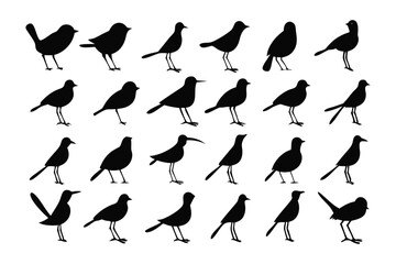 Birds Silhouette Collection: A detailed and artistic collection of diverse bird silhouettes, illustrating the grace and diversity of avians.