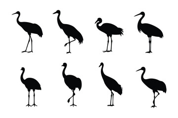 Obraz premium Elegant Cranes in Silhouette: A stark yet beautiful image of cranes, their silhouettes standing proudly, offering a touch of nature's grace.
