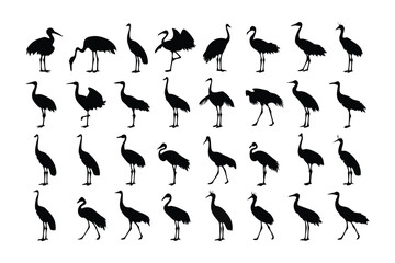 Elegant Cranes Silhouette Collection: A graphic composition showcasing a collection of silhouette cranes, offering a minimalist and sophisticated aesthetic, perfect for a variety of creative projects.