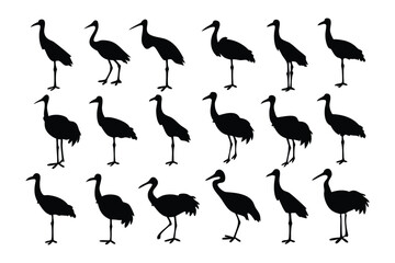 Bird Silhouettes in Harmony: A minimalist graphic of birds in graceful silhouettes stands out against a clear background, creating a sense of understated elegance and natural wonder.