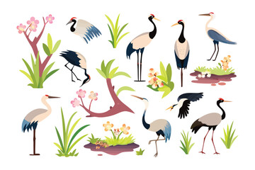 Elegant Cranes in Botanical Arrangement: Featuring a flock of cranes in a botanical arrangement, a serene illustration captures a sense of harmony and tranquility.