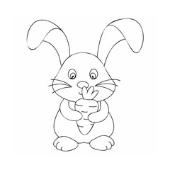 Cute bunny holding a carrot rabbit drawing