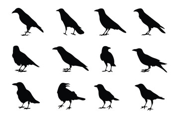 Raven Silhouettes: A striking collection of stylized raven silhouettes, set against a clear backdrop, offering a variety of poses to represent nature's elegant bird.